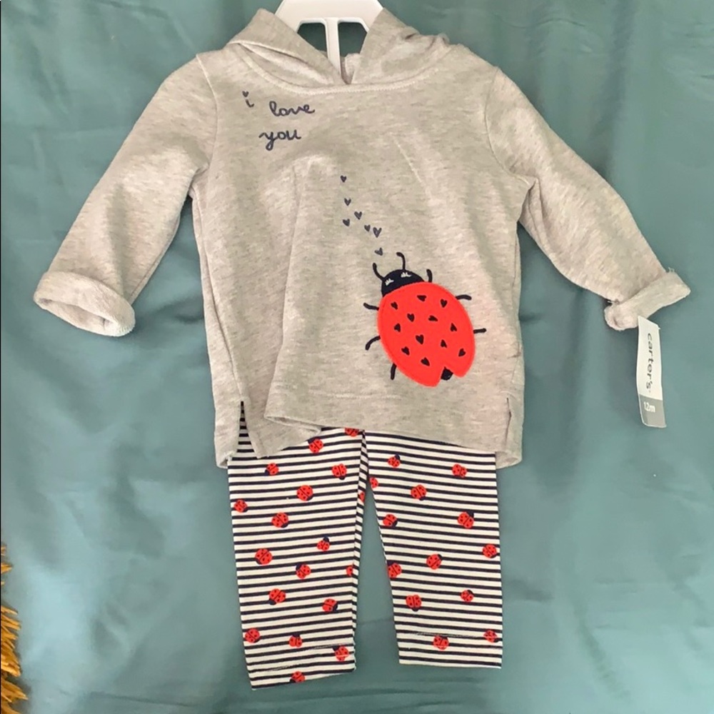 Carter’s lady bug outfit